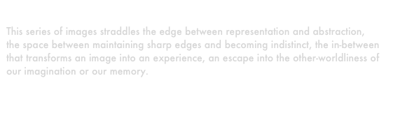 
This series of images straddles the edge between representation and abstraction, the space between maintaining sharp edges and becoming indistinct, the in-between that transforms an image into an experience, an escape into the other-worldliness of our imagination or our memory.

